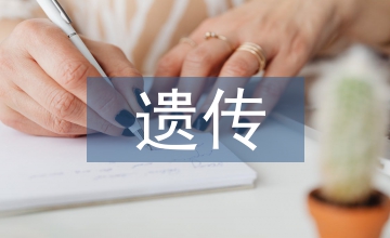 非遺傳承保護(hù)與群眾文化工作相結(jié)問(wèn)題