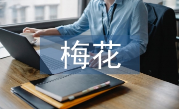 談梅花井煤礦安全生產標準化管理