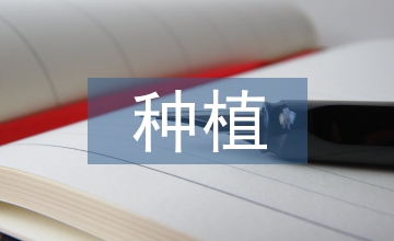 談有機種植農業土壤培肥技術