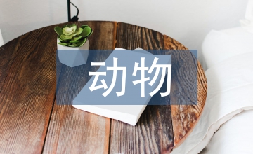 動物科學導論