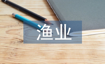 漁業文化