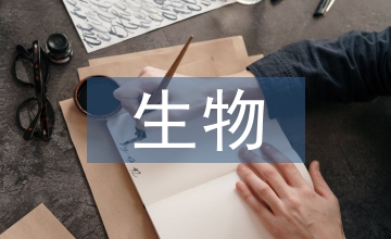 生物醫學工程和生物工程