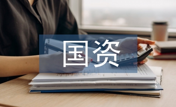 國資企業的盈余管理淺析