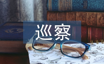 巡察紀檢履職報告